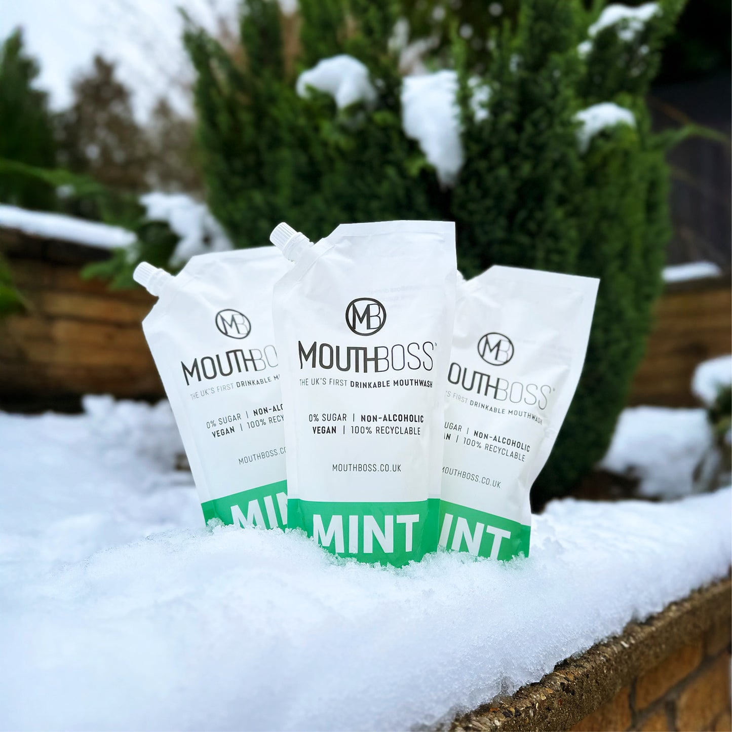 Portable Oral Hygiene in Snow