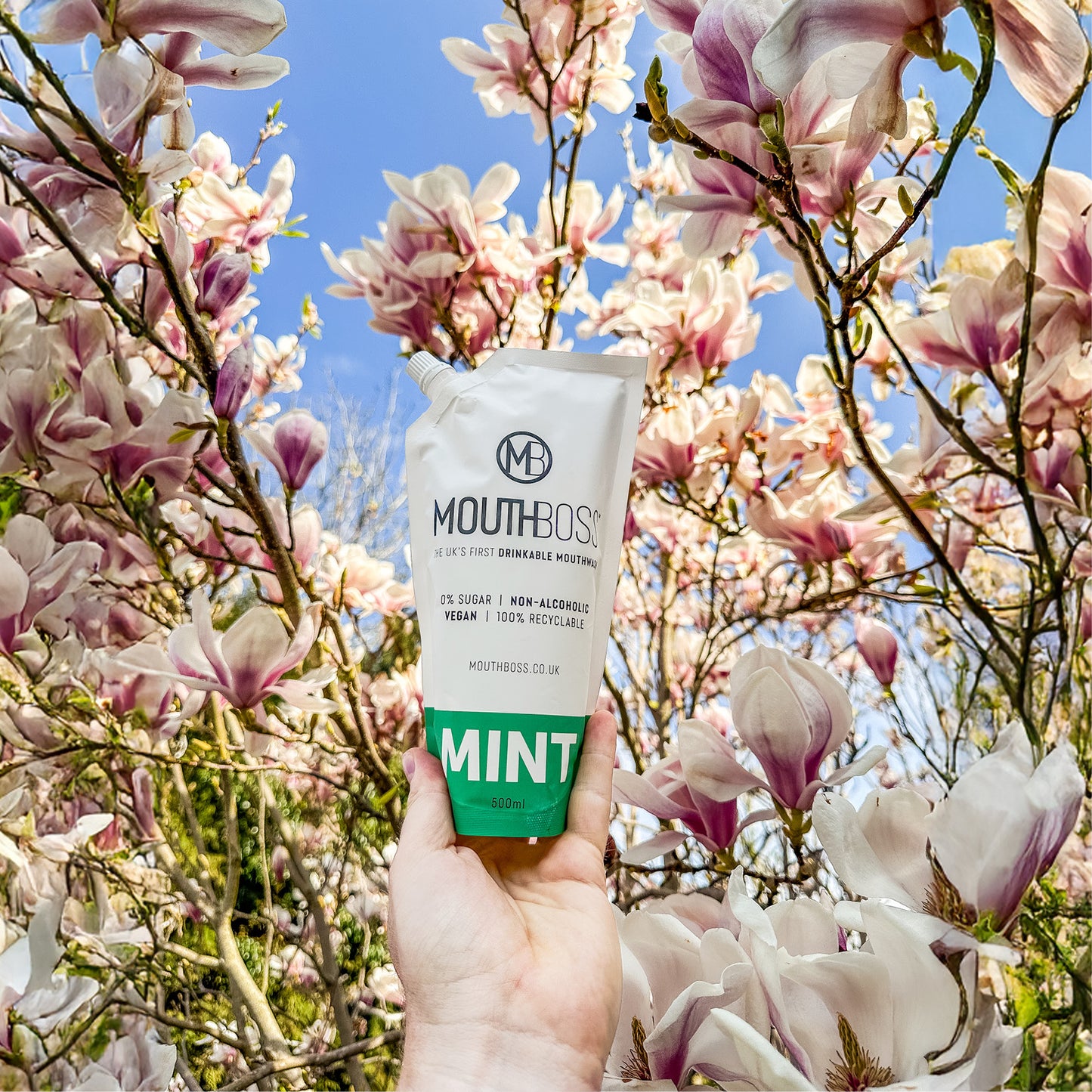 Portable Oral Hygiene in Spring
